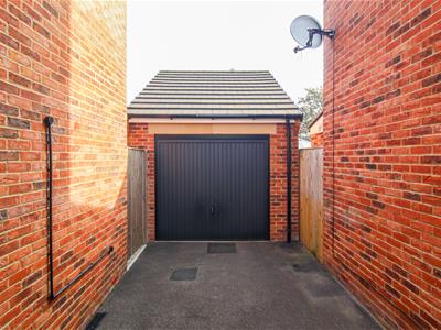 Picture 15